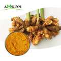 AMULYN Health Care Organic Turmeric Extract